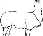 Coloriage Lama te regardant