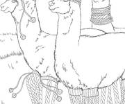 Coloriage Lamas cool en famille
