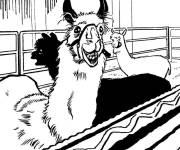 Coloriage Lamas dans la ferme