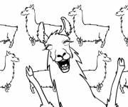Coloriage Lamas rigolos