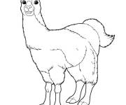 Coloriage Le bonheur du Lama