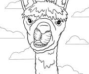 Coloriage Le visage dr&ocirc;le du lama