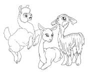 Coloriage Les petits amis Lamas