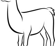 Coloriage Llama