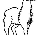 Coloriage Portrait de Lama