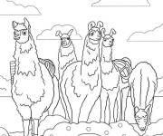 Coloriage Troupeau de lamas