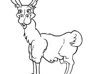 Coloriage Vieux lama de cartoon