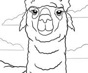 Coloriage Visage de Lama r&eacute;aliste
