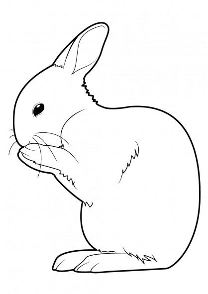 Coloriage Lapin 31 dessin gratuit à imprimer