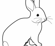 Coloriage Lapin adorable