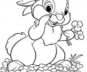 Coloriage Lapin collecte les fleurs