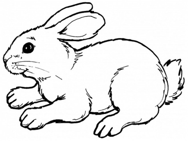 Coloriage Lapin Couleur Dessin Gratuit A Imprimer