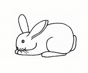 Coloriage Lapin en ligne