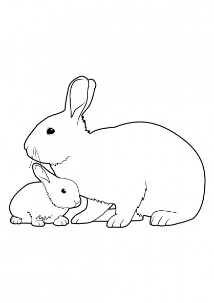 Coloriage Lapin et son bébé dessin gratuit à imprimer