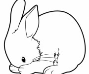 Coloriage Lapin se nettoie