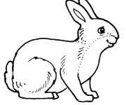 Coloriage et dessins gratuit Lapin souriant à imprimer