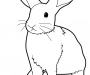 Coloriage Lapin stylisé