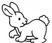 Coloriage Un b&eacute;b&eacute; Lapin