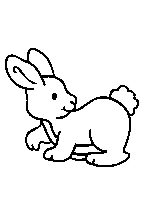 Coloriage Un Bebe Lapin Dessin Gratuit A Imprimer