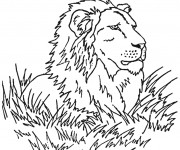 Coloriage Lion 24