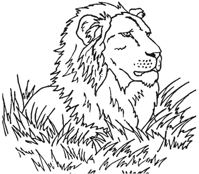 Coloriage Lion gratuit à imprimer liste 20 à 40