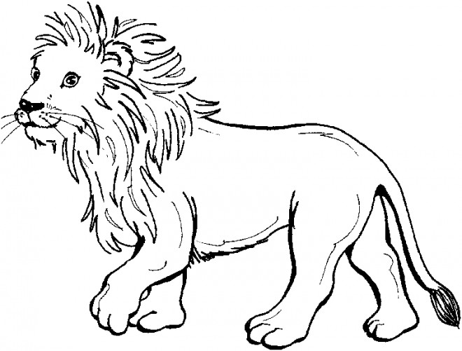 Coloriage et dessins gratuits Lion 36 à imprimer
