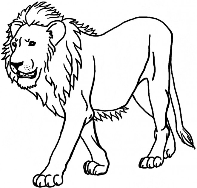 Coloriage Lion 8 Dessin Gratuit à Imprimer