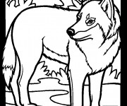 Coloriage et dessins gratuit Loup 1 à imprimer