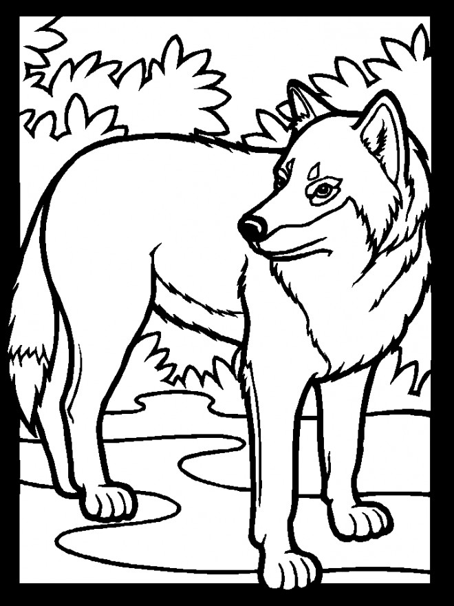 Coloriage Loup 1 Dessin Gratuit à Imprimer