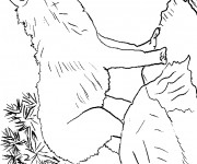 Coloriage Loup 11