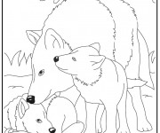 Coloriage et dessins gratuit Loup 15 à imprimer