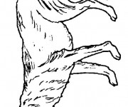 Coloriage Loup 22