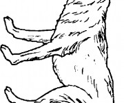 Coloriage Loup 24
