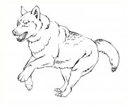 Coloriage et dessins gratuit Loup 3 à imprimer