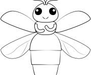 Coloriage Corps de la Luciole pour maternelle