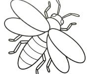 Coloriage Insecte Luciole vue de haut