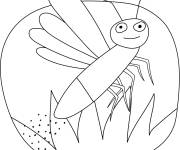 Coloriage et dessins gratuit Luciole dessin&eacute; &agrave; la main à imprimer