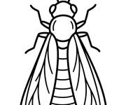 Coloriage Luciole en illustration simple