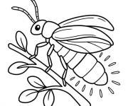 Coloriage Luciole en noir et blanc