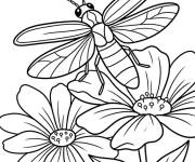 Coloriage Luciole ouvrant ses ailes sur les leurs