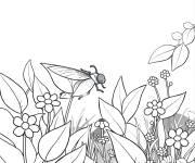 Coloriage Luciole qui donne de lumi&egrave;re