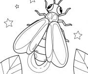 Coloriage Luciole r&eacute;aliste &agrave; motif