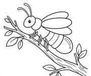 Coloriage et dessins gratuit Luciole se repose sur le branche de l'arbre à imprimer