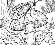 Coloriage Luciole se repose sur le champignon