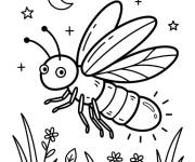 Coloriage Luciole sort la nuit