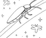 Coloriage Luciole sort la nuit et &eacute;limine la foret