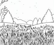 Coloriage Lucioles en paysage naturel