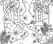 Coloriage Lucioles qui aluminent la foret