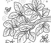 Coloriage Lucioles survolent l'arbre