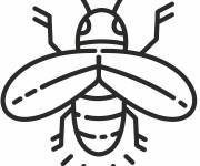Coloriage et dessins gratuit Petite Luciole en noir et blanc à imprimer